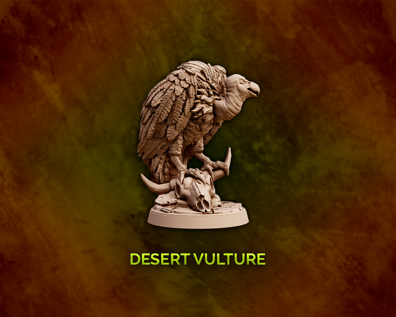 Desert Vulture